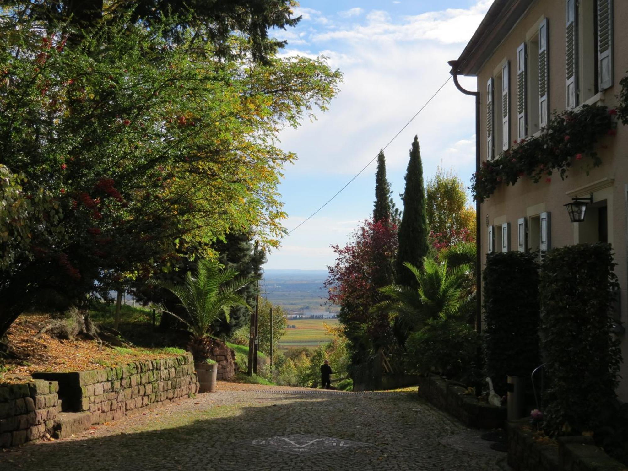 Sankt Annagut Hotel Burrweiler Exterior photo